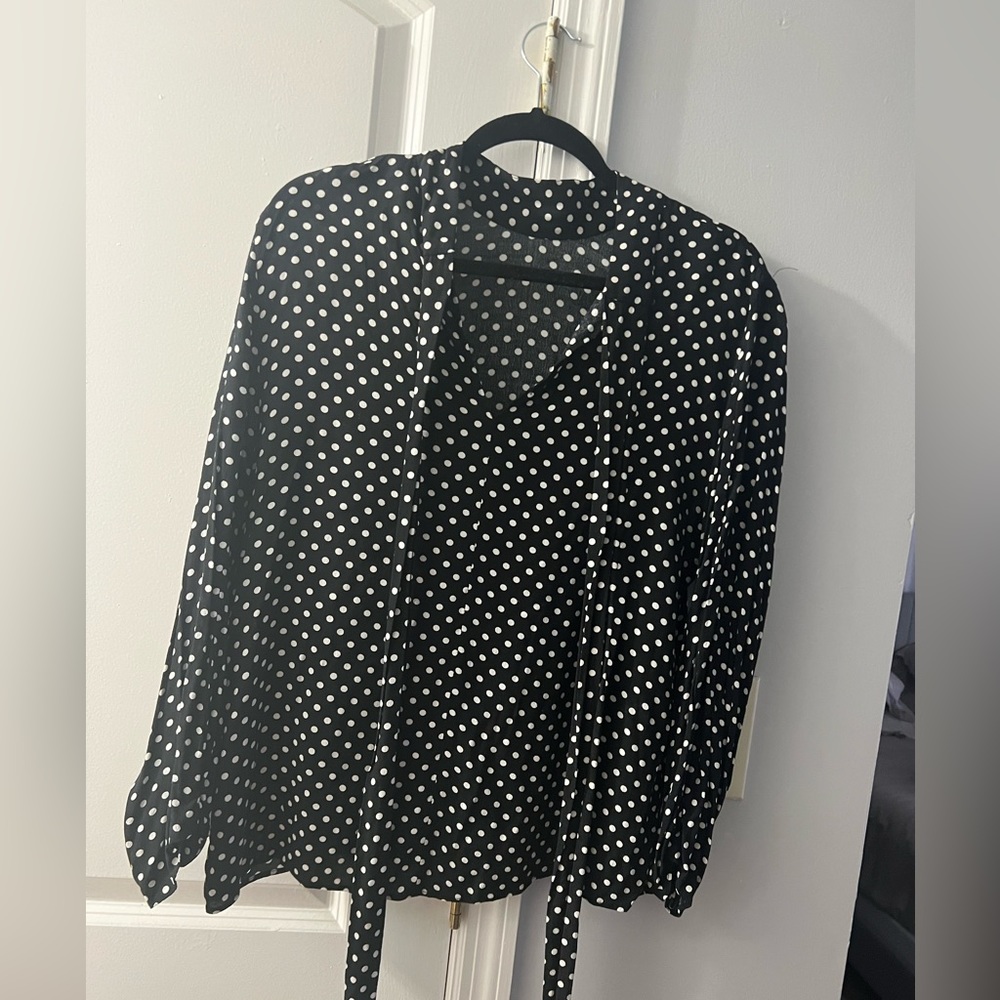 Zara Work/Dressy Top